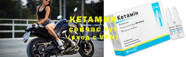 мдпв Вяземский