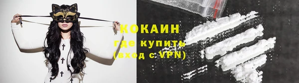 мдпв Вяземский