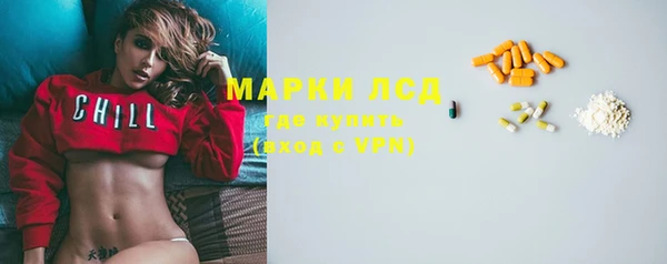 мдпв Вяземский