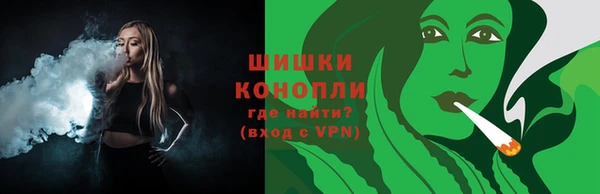 гашик Вязьма