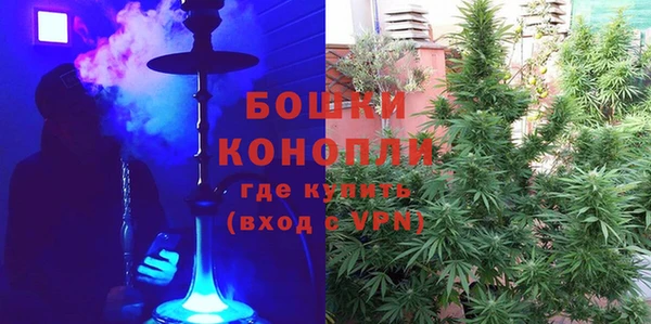 гашик Вязьма