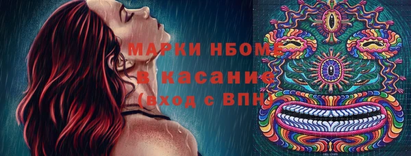 гашик Вязьма