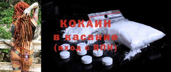 мдпв Вяземский