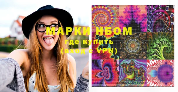 мдпв Вяземский