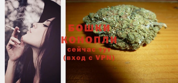 мдпв Вяземский