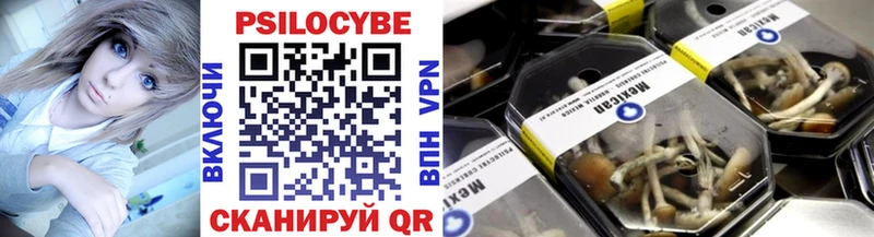 Галлюциногенные грибы Psilocybe  Купить  Омутнинск 